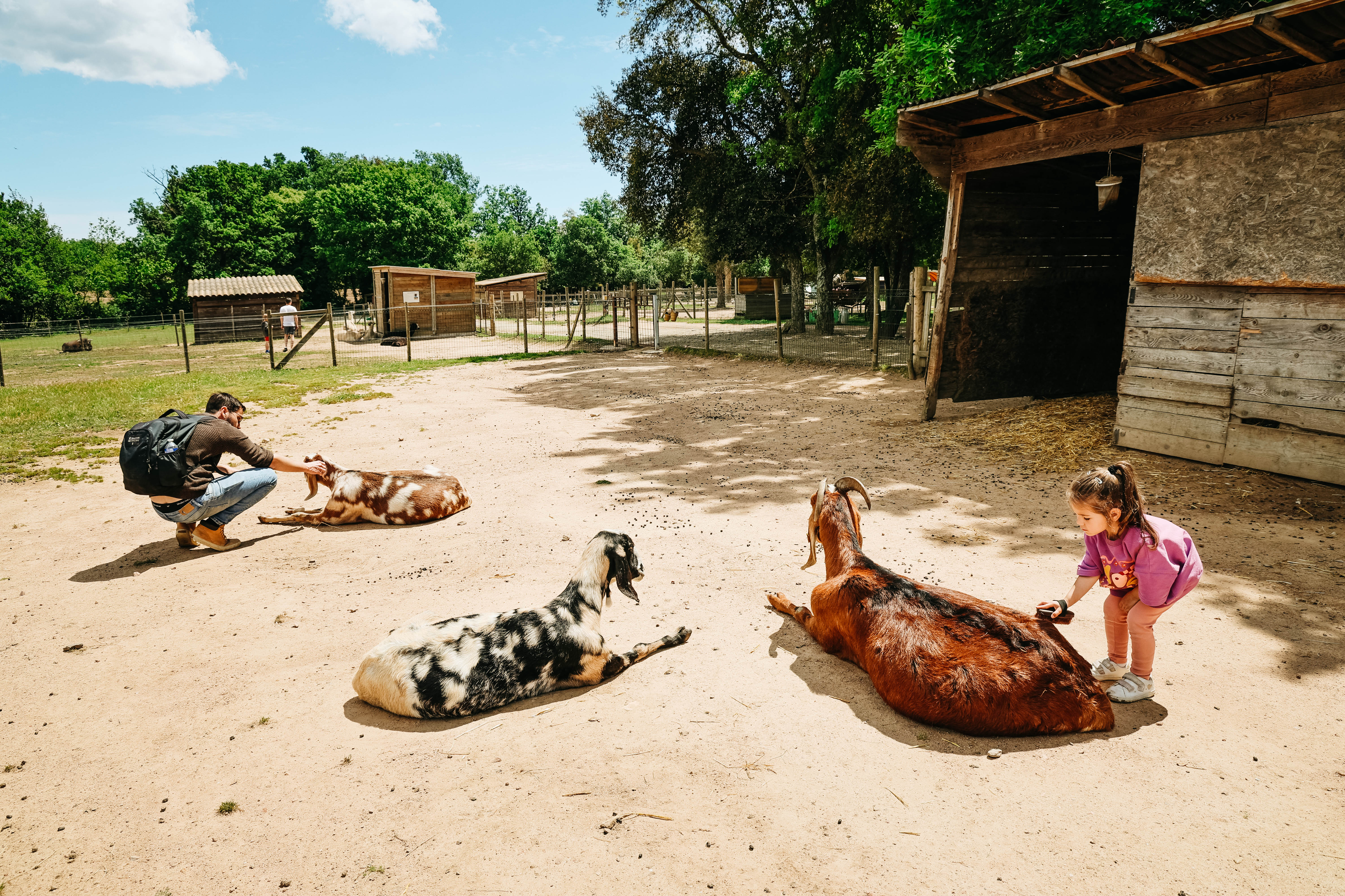 La Ferme Pédagogique d’Idéfix : une sortie nature que les enfants adorent