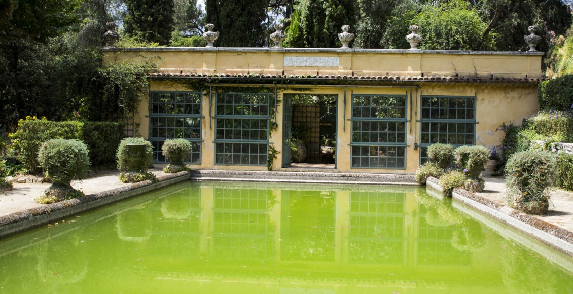 Le Jardin Serre de la Madone : L’éden secret de Menton