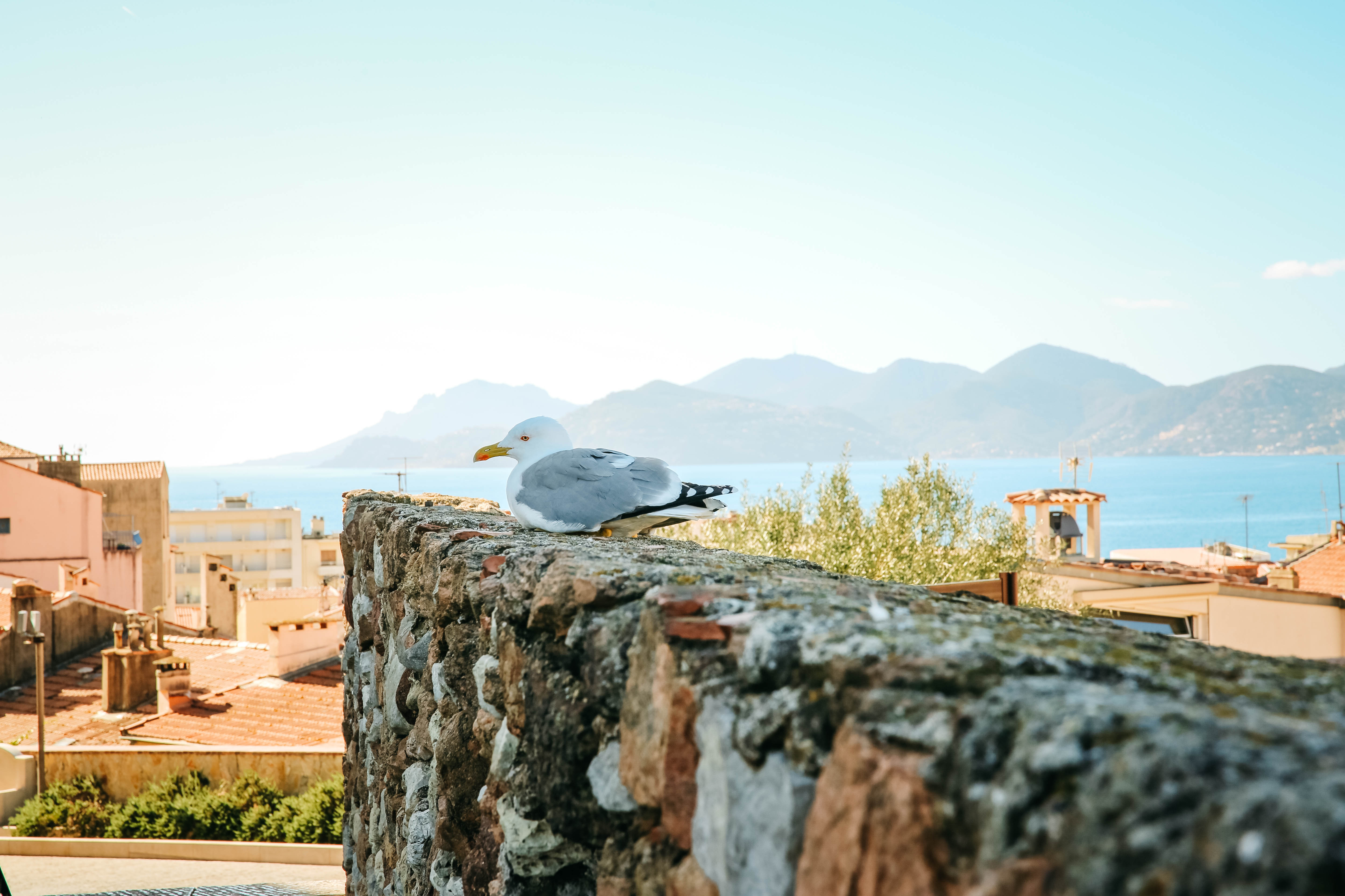 Quartier du Suquet : le charme du vieux Cannes